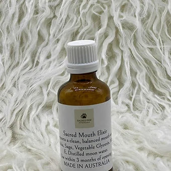 Sacred Mouth Elixir for Cats